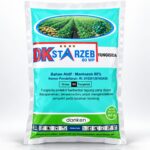 DKStarzeb 80 WP Danken Indonesia